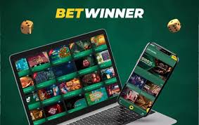 Maximize Your Betting Experience with 1xBet